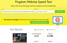 Pingdom Performance Test